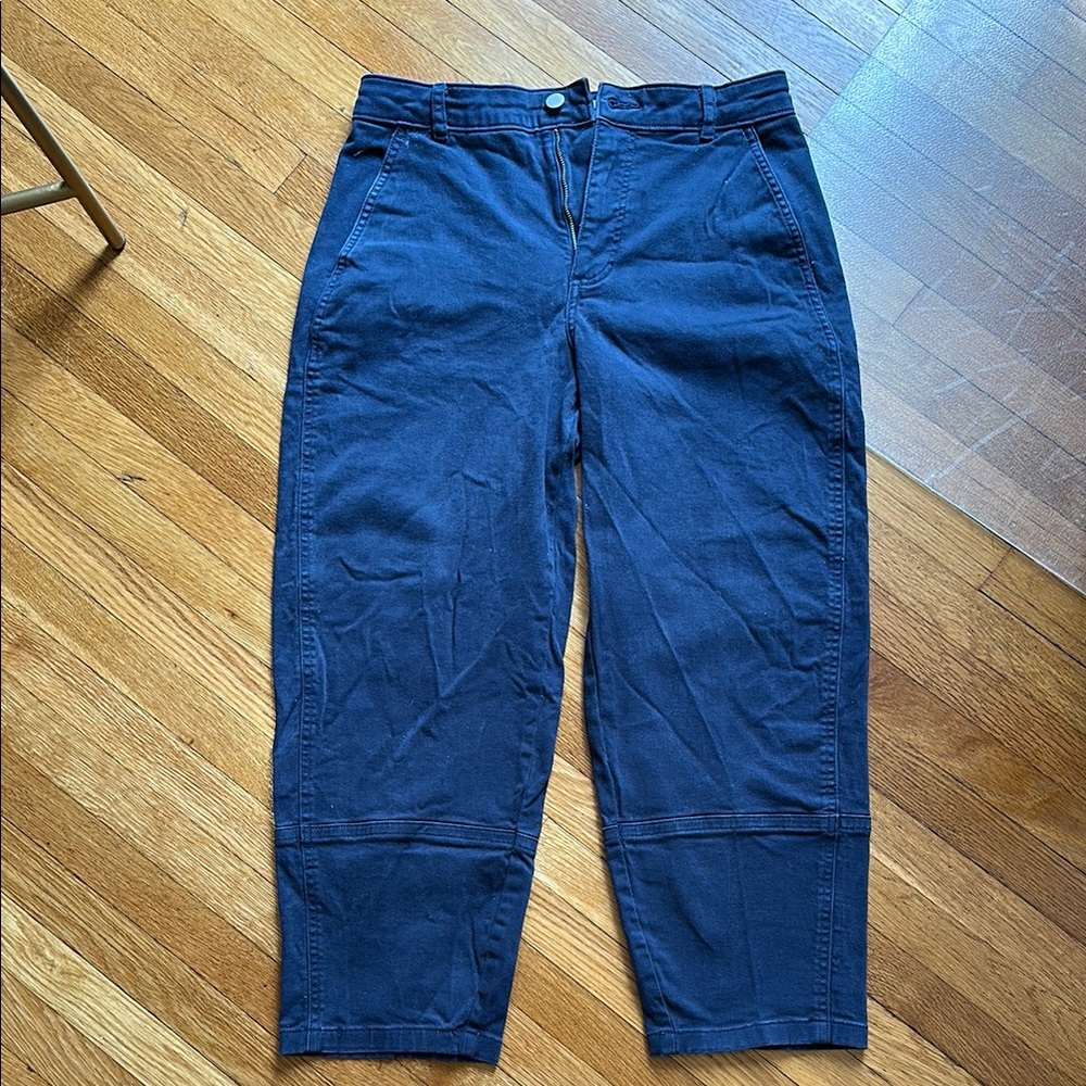Everlane Blue Barrel Pants